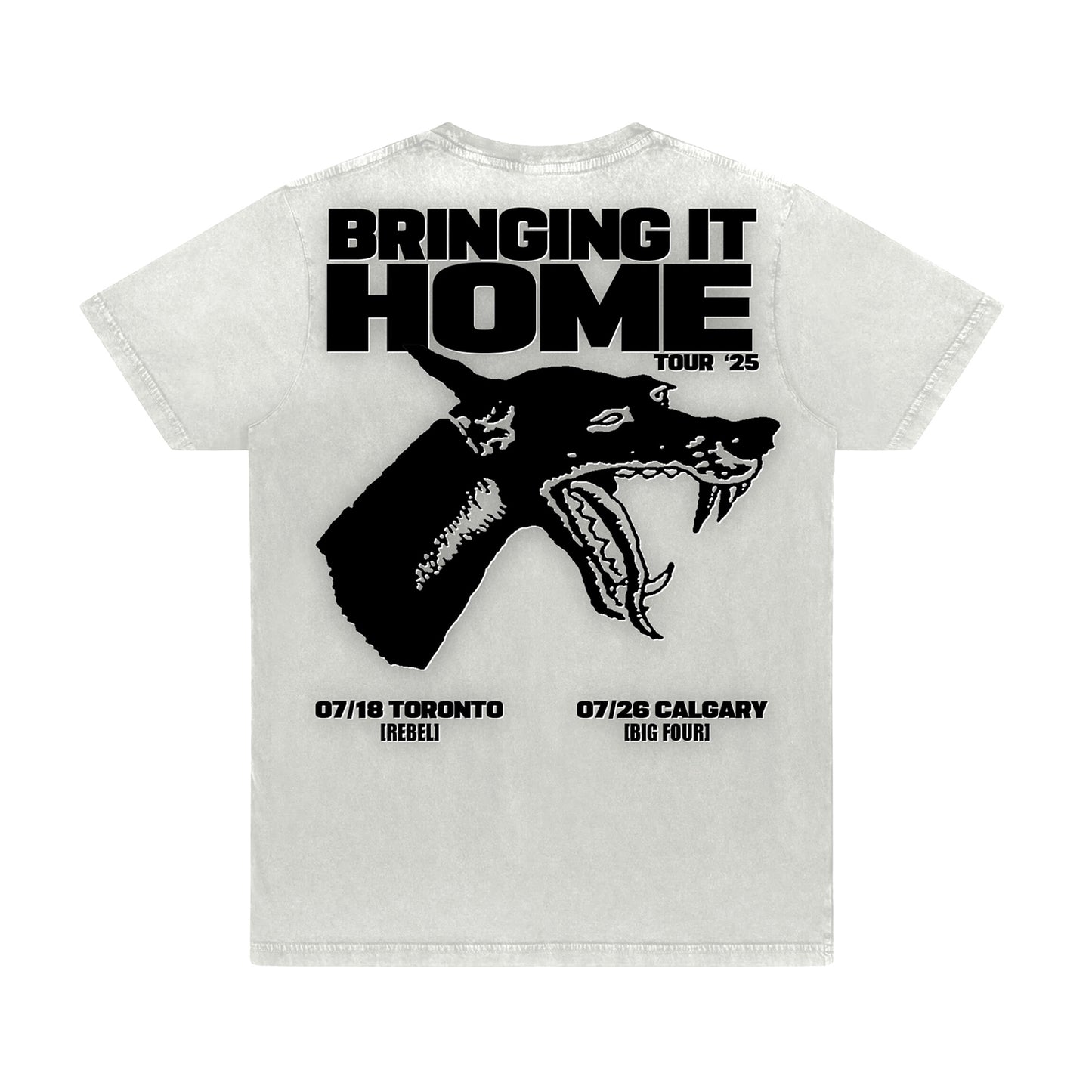 Bringing It Home Tour Tee