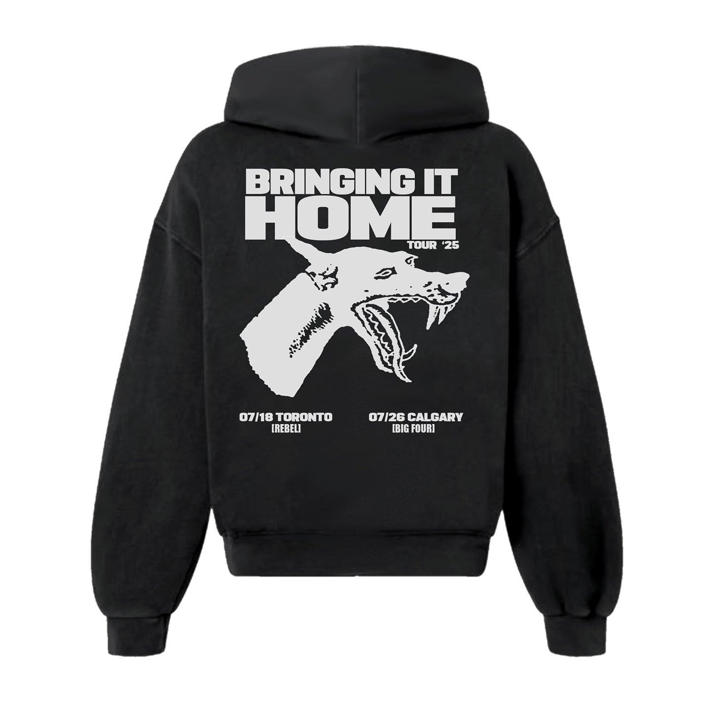 Bringing It Home Tour Hoodie